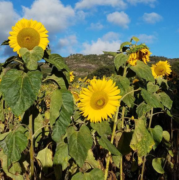 Meet your Posher, Wendy - Picture 1 of 1